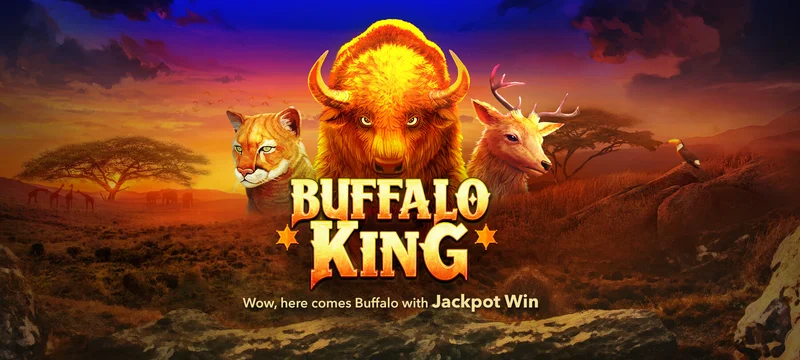 Buffalo King nextspin